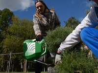 В Твери проходит Всероссийская акция «Сохраним лес»